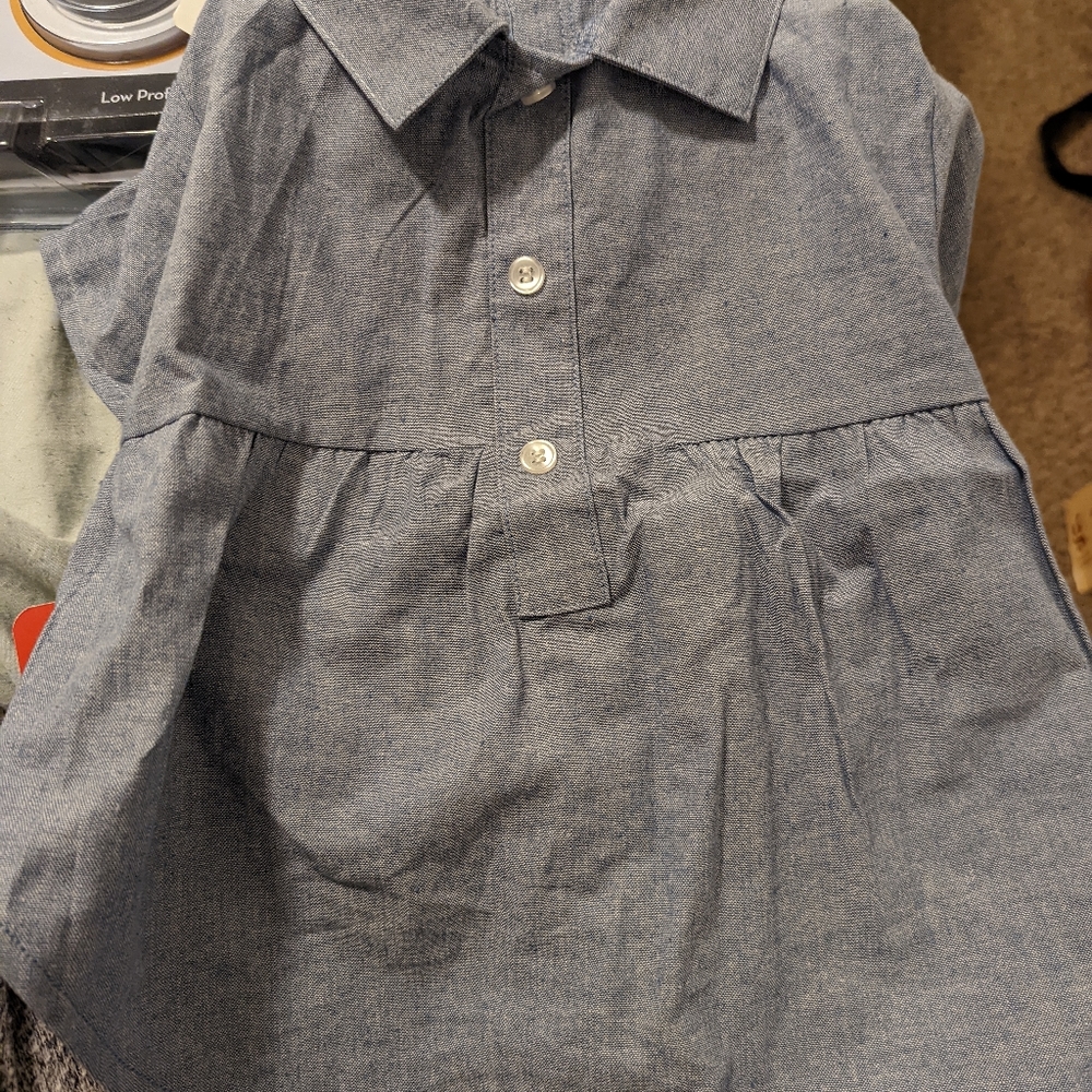 The worthy dog shirt